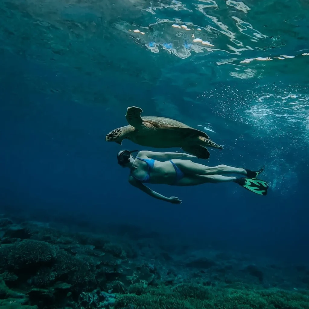 diving in komodo island
